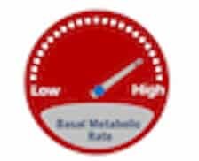 Basal Metabolic Rate Indicator
