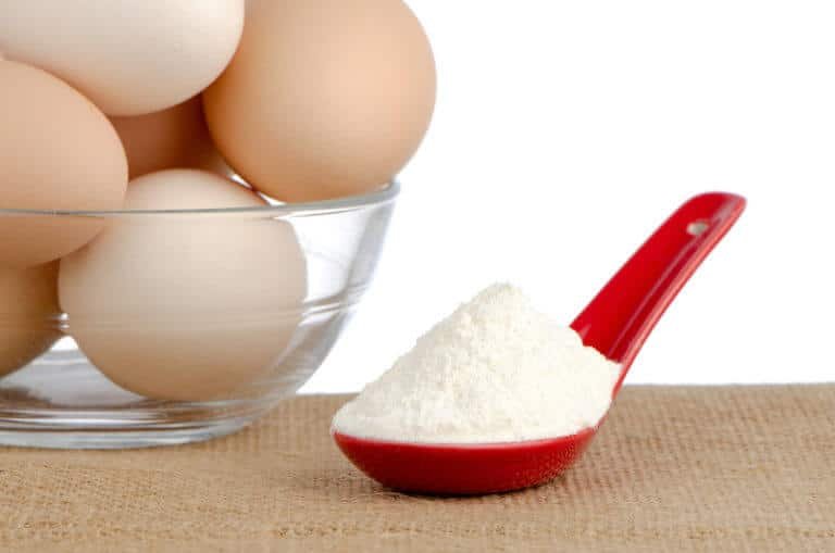 Egg White Protein Powder The Pros and Cons Tek Nutrition